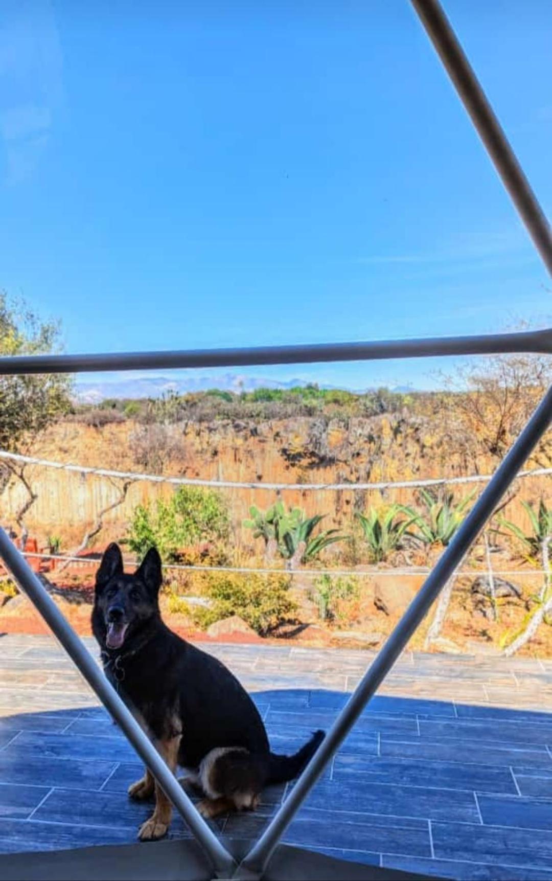 El Gato Glamping Con Vista A Prismas Basalticos Hotel Хуаска де Окампо Екстериор снимка